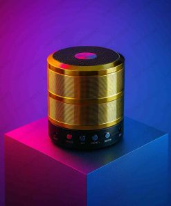 (1025) WS 887 MZ SPEAKER (IMPORT)