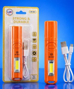 (0426) TORCH LIGHT 6601 (IMPORT)